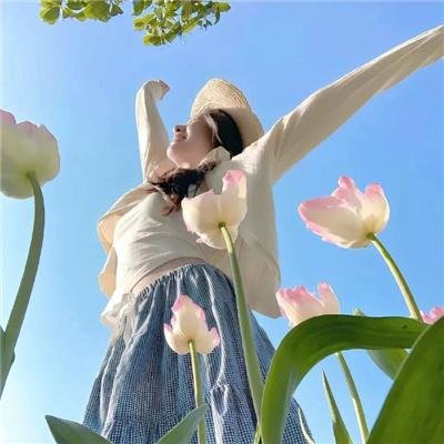 美丽的声音